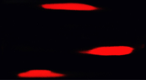 『<ruby>曙<rt>あけぼの</rt></ruby>』