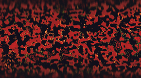 『<ruby>唐塗Ⅱ<rt>からぬりⅡ</rt></ruby>』